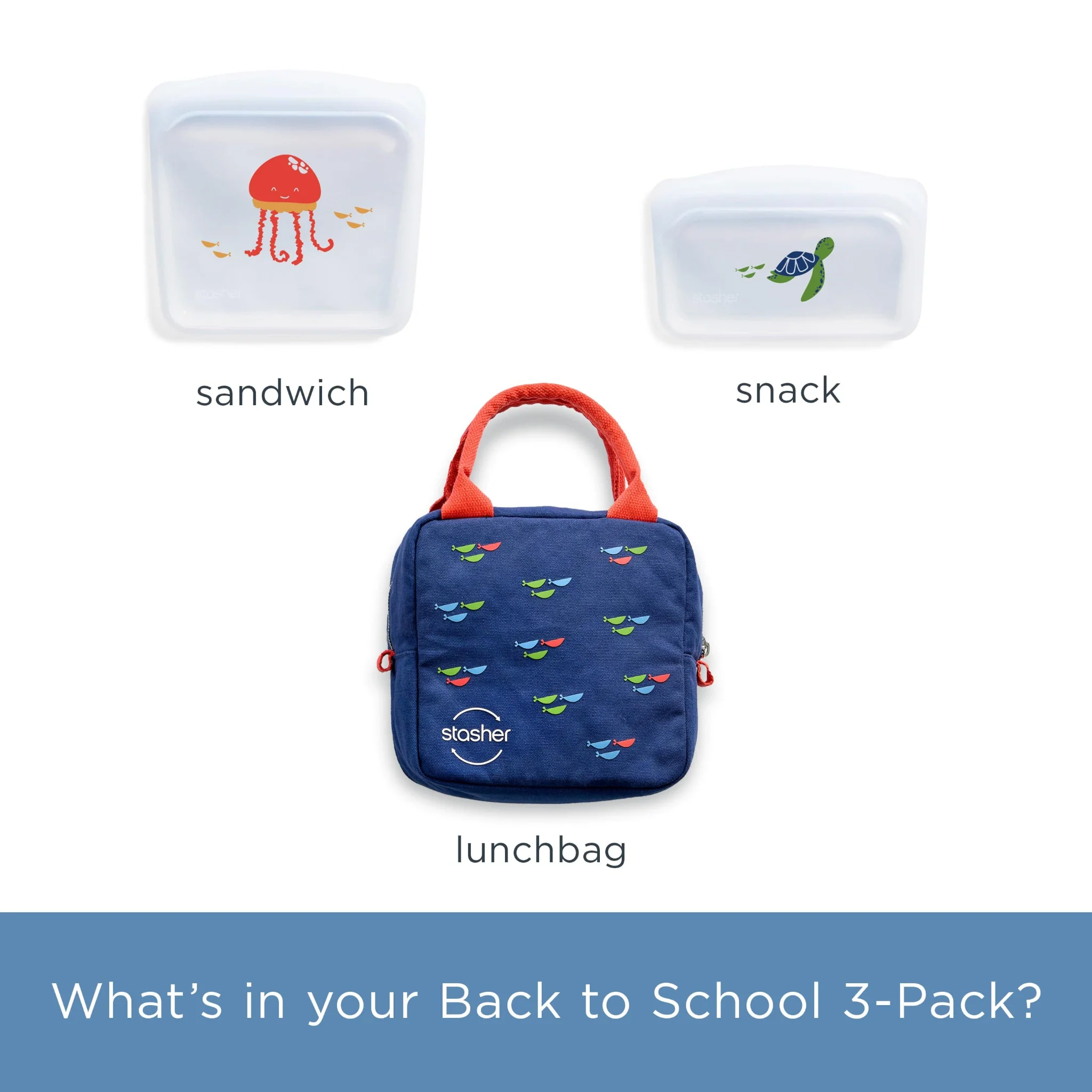 Back to School Lunch 3-Pack - Image 10