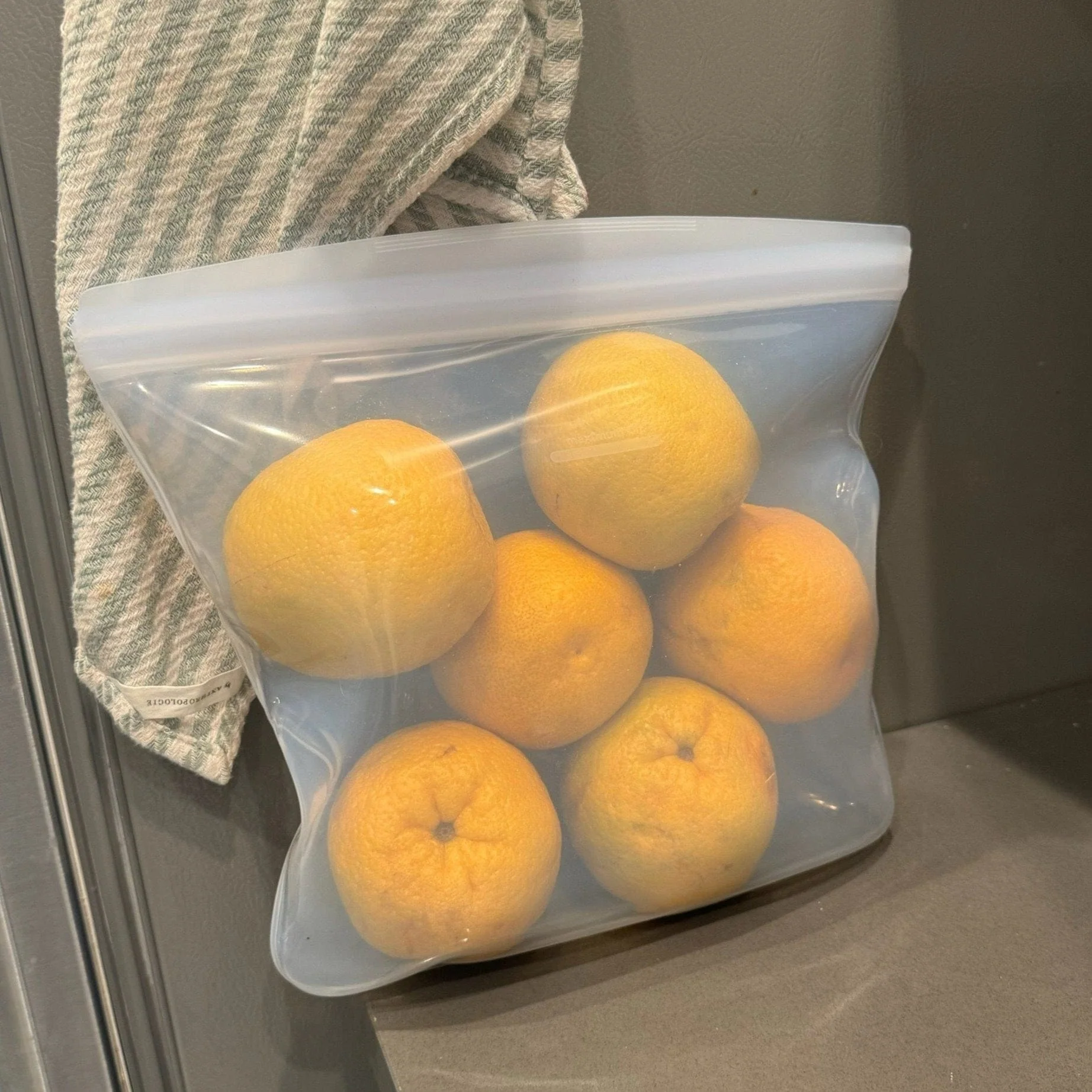 Gallon Bag - Image 11