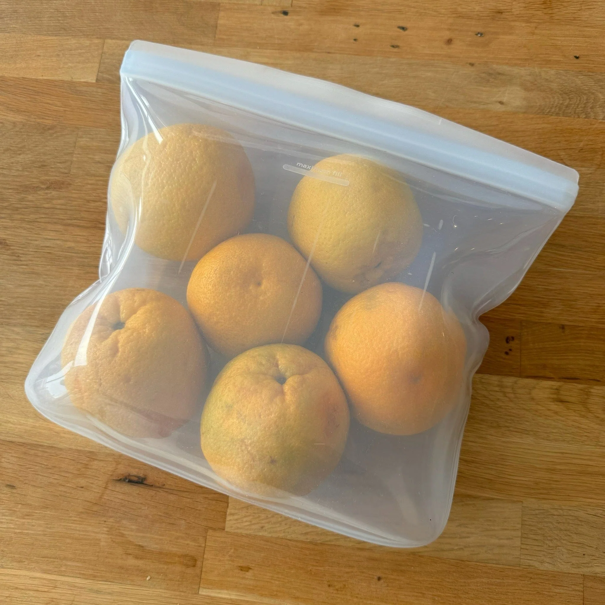 Gallon Bag - Image 16