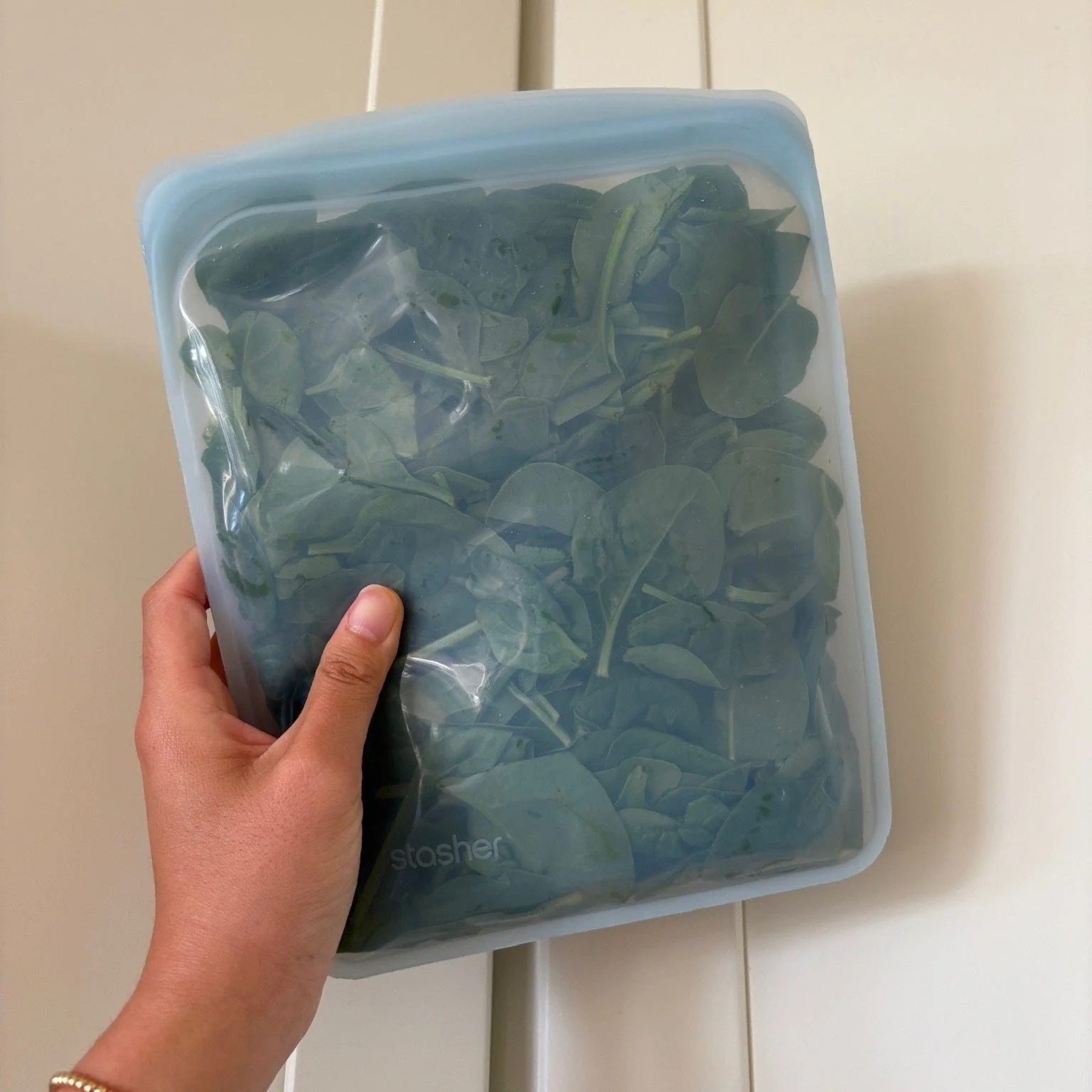 Half Gallon Bag - Image 34